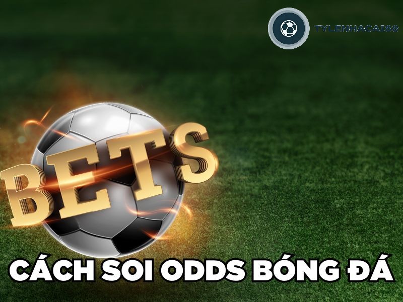 Cách Soi Odds Bóng Đá Chuẩn Xác, Chi Tiết Từ Cao Thủ