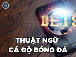 List 50+ Thuật Ngữ Cá Độ Bóng Đá Phổ Biến Cho Bet Thủ