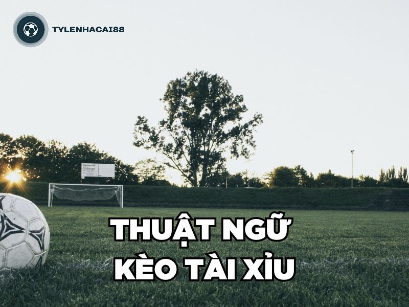 Thuật ngữ cá độ kèo Tài Xỉu